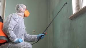  Spring Arbor, MI Mold Removal Services Pros